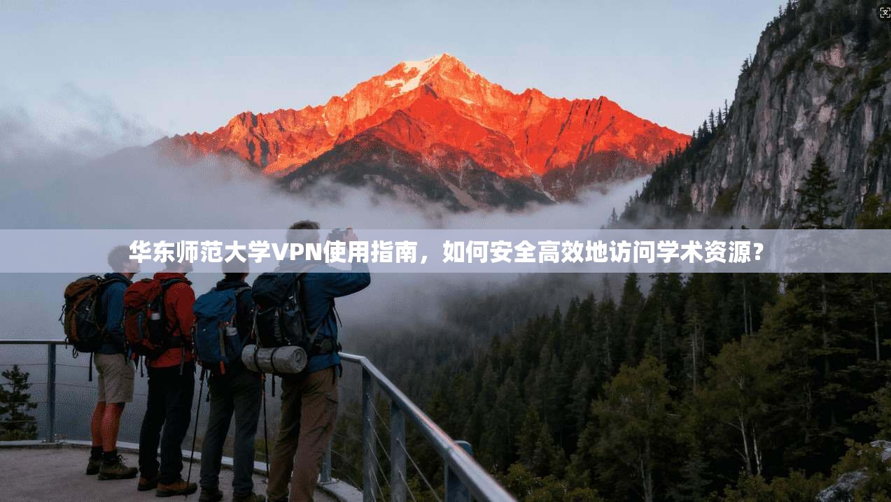 华东师范大学VPN使用指南，如何安全高效地访问学术资源？