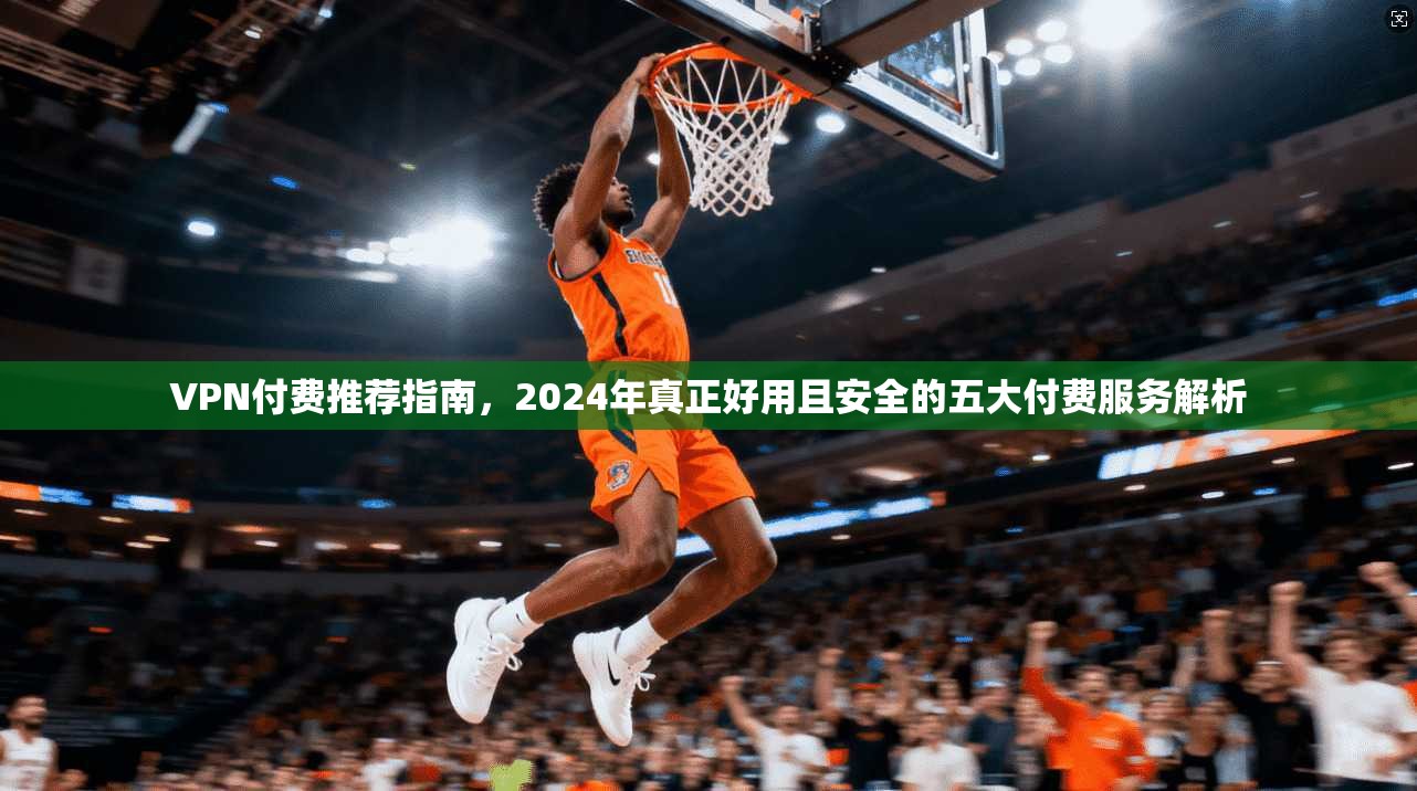 VPN付费推荐指南，2024年真正好用且安全的五大付费服务解析