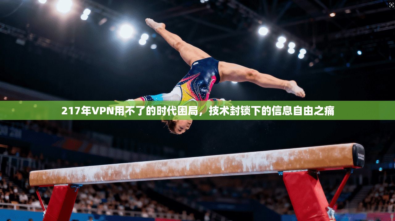 217年VPN用不了的时代困局，技术封锁下的信息自由之痛