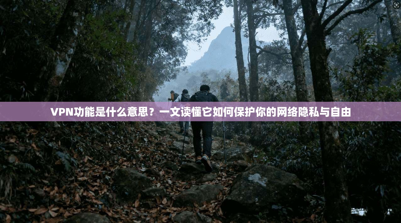 VPN功能是什么意思？一文读懂它如何保护你的网络隐私与自由