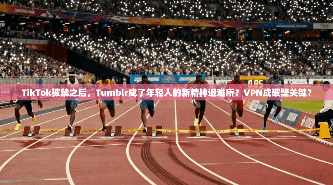 TikTok被禁之后，Tumblr成了年轻人的新精神避难所？VPN成破壁关键？