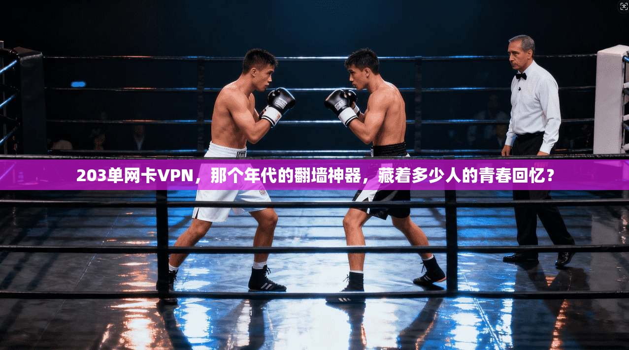203单网卡VPN，那个年代的翻墙神器，藏着多少人的青春回忆？