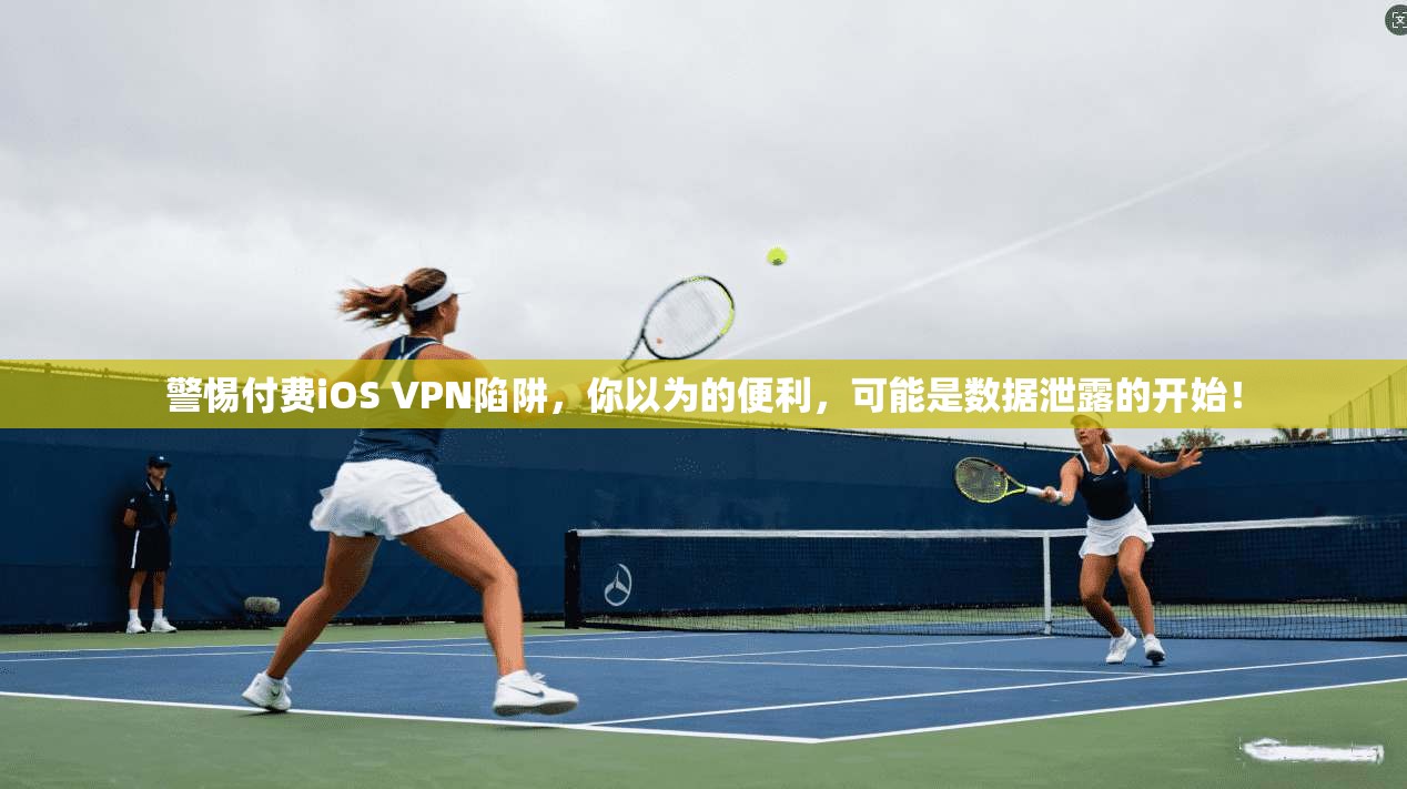 警惕付费iOS VPN陷阱，你以为的便利，可能是数据泄露的开始！