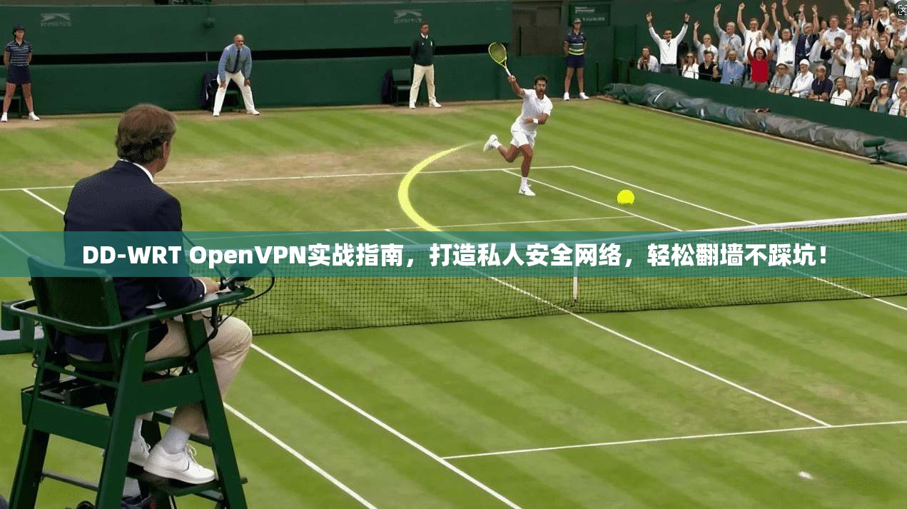 DD-WRT OpenVPN实战指南，打造私人安全网络，轻松翻墙不踩坑！