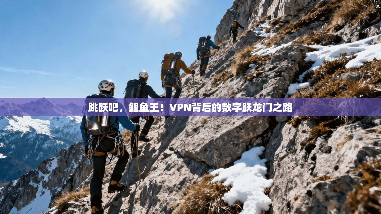 跳跃吧，鲤鱼王！VPN背后的数字跃龙门之路