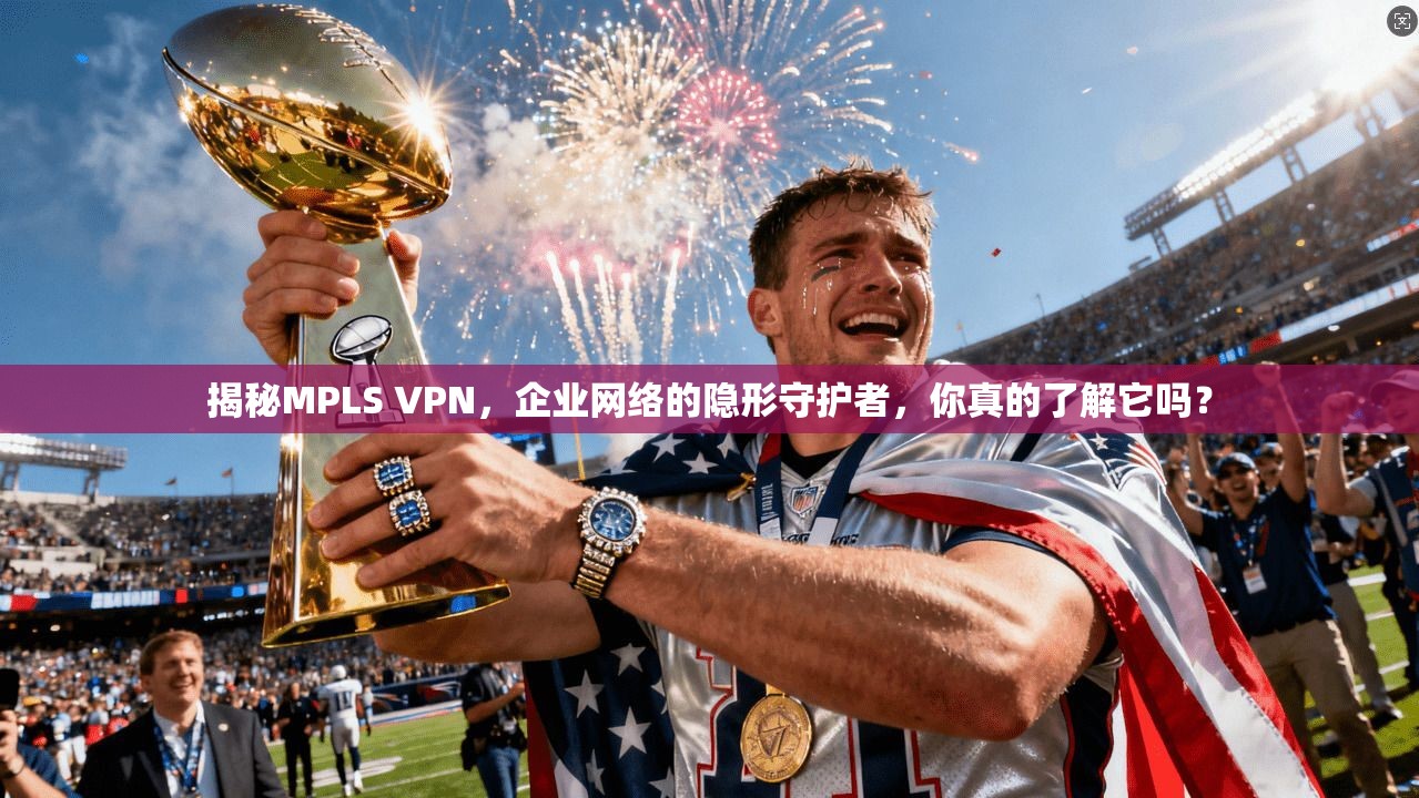 揭秘MPLS VPN，企业网络的隐形守护者，你真的了解它吗？