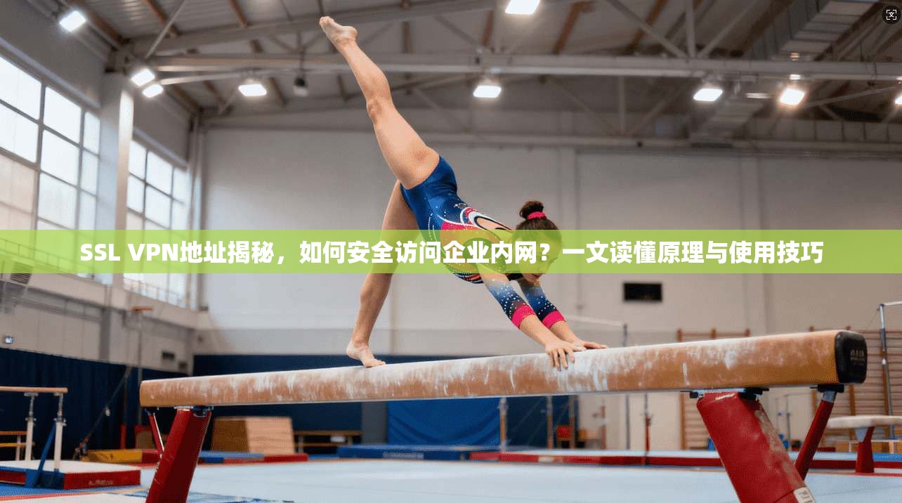 SSL VPN地址揭秘，如何安全访问企业内网？一文读懂原理与使用技巧