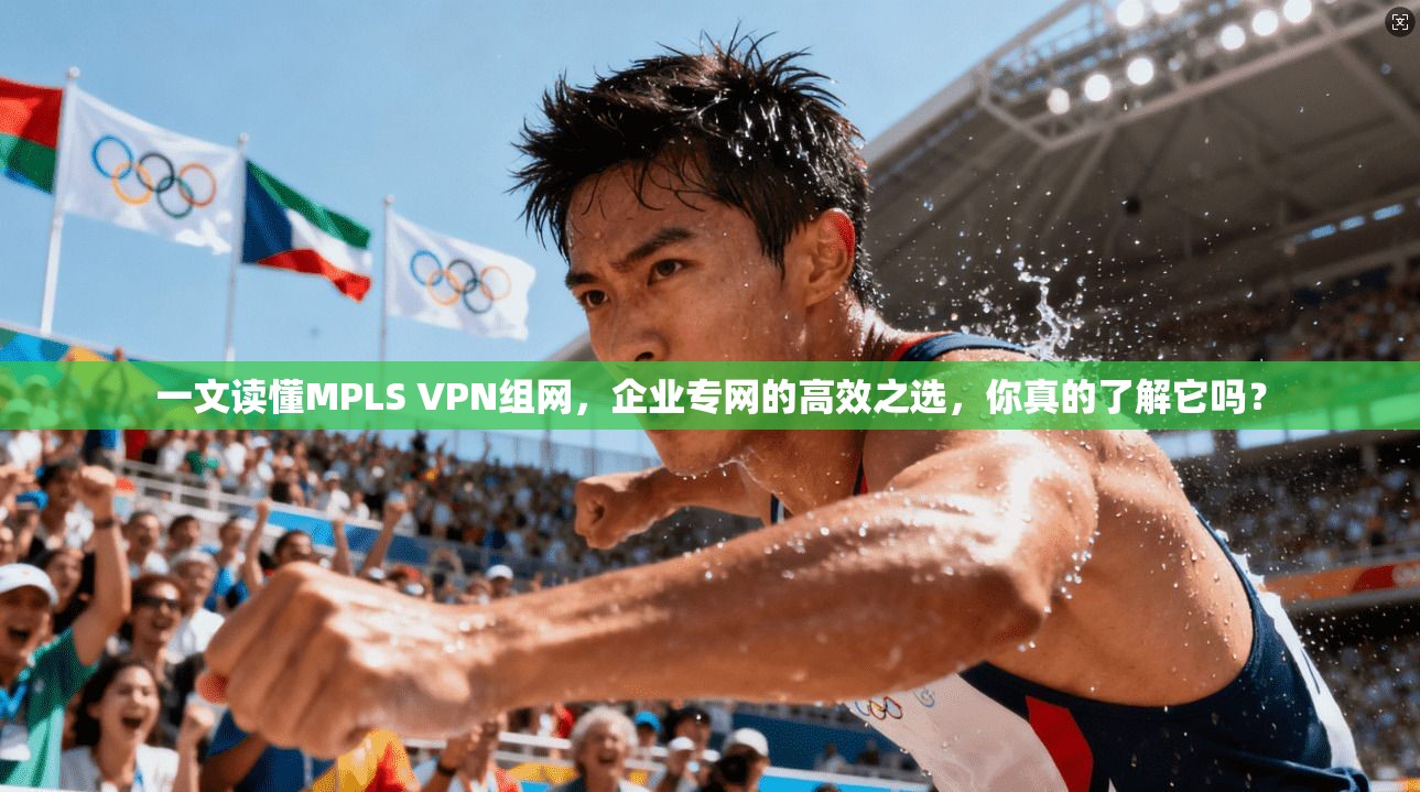一文读懂MPLS VPN组网，企业专网的高效之选，你真的了解它吗？
