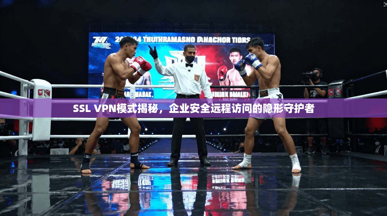 SSL VPN模式揭秘，企业安全远程访问的隐形守护者
