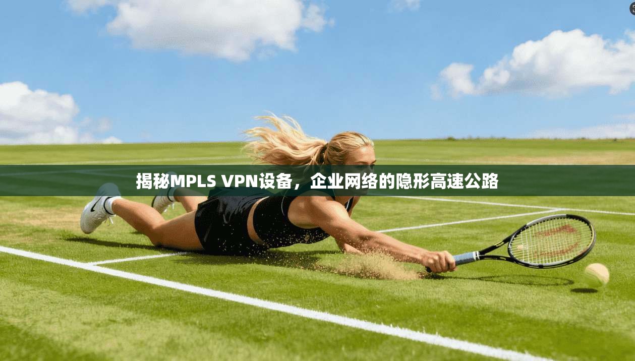 揭秘MPLS VPN设备，企业网络的隐形高速公路