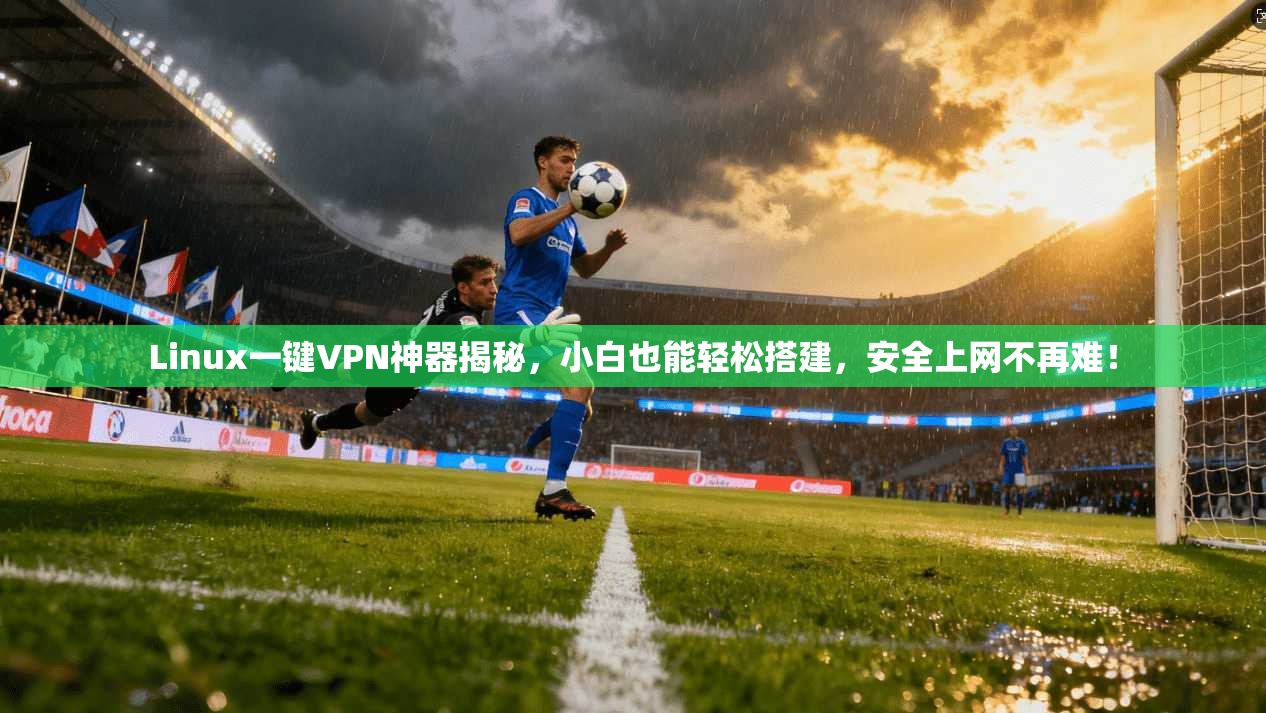 Linux一键VPN神器揭秘，小白也能轻松搭建，安全上网不再难！