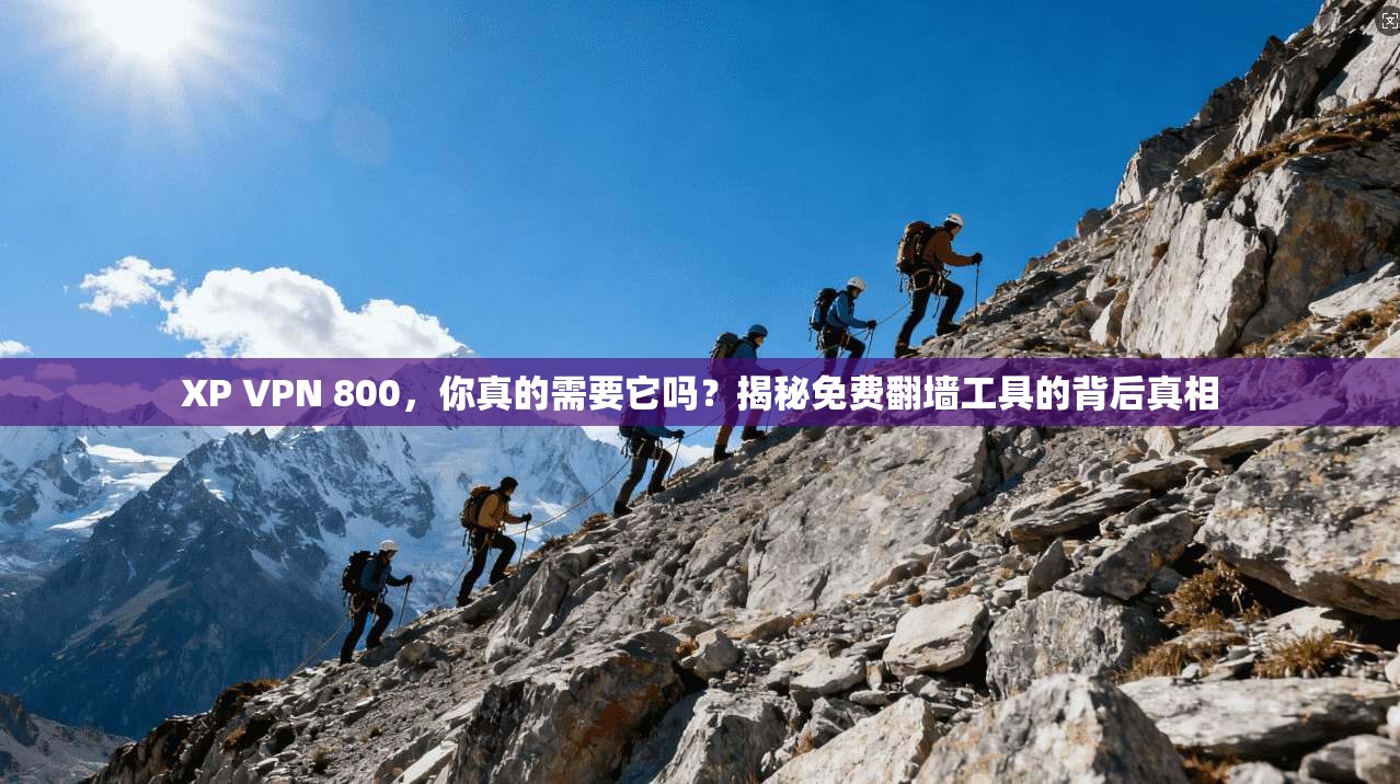 XP VPN 800，你真的需要它吗？揭秘免费翻墙工具的背后真相