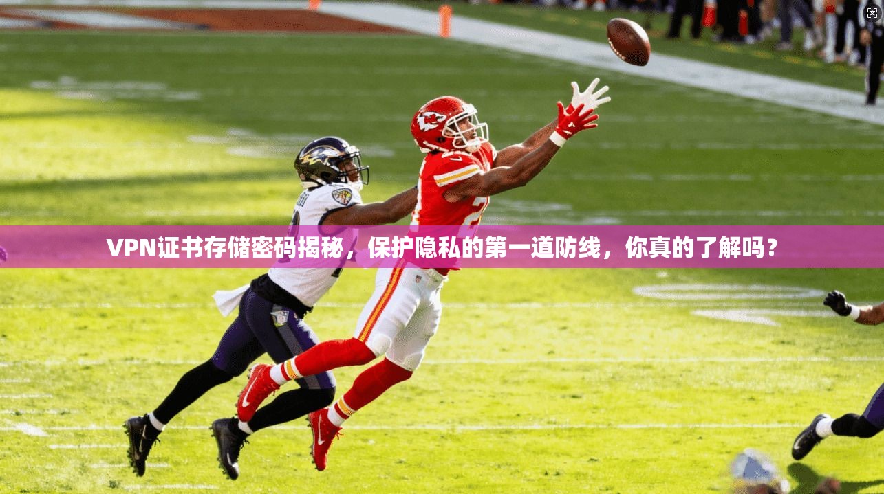 VPN证书存储密码揭秘，保护隐私的第一道防线，你真的了解吗？