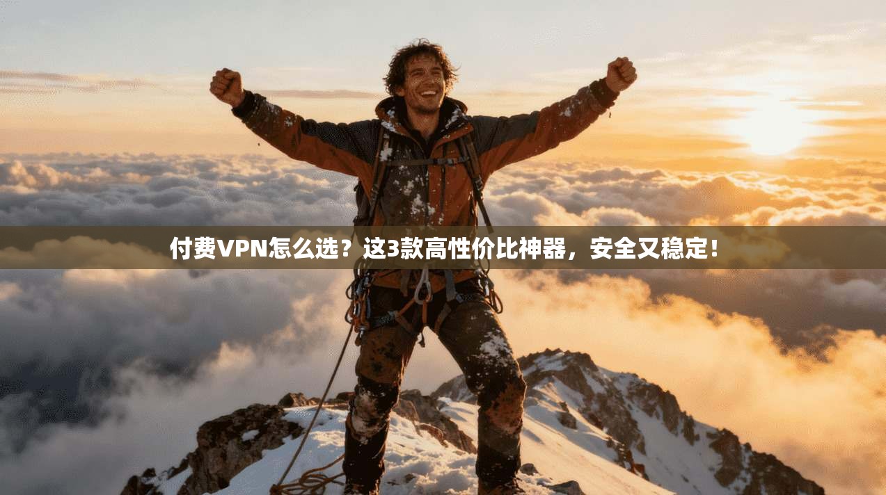 付费VPN怎么选？这3款高性价比神器，安全又稳定！