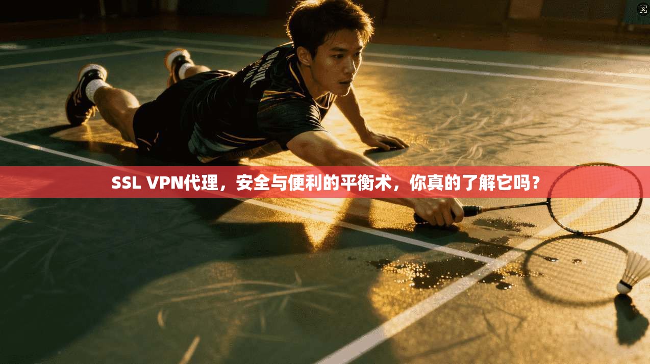 SSL VPN代理，安全与便利的平衡术，你真的了解它吗？