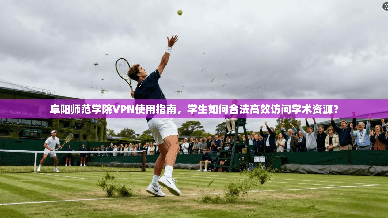 阜阳师范学院VPN使用指南，学生如何合法高效访问学术资源？