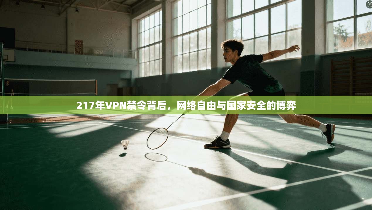 217年VPN禁令背后，网络自由与国家安全的博弈