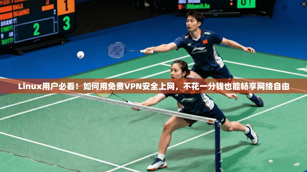 Linux用户必看！如何用免费VPN安全上网，不花一分钱也能畅享网络自由