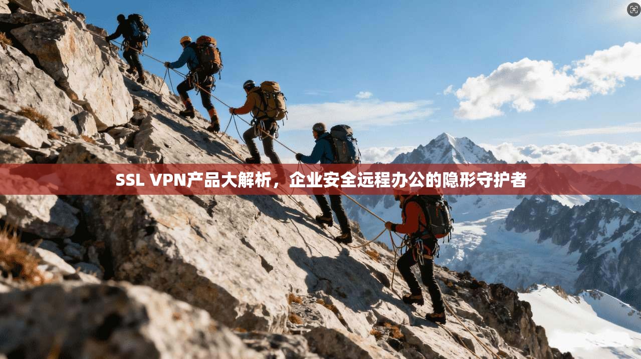 SSL VPN产品大解析，企业安全远程办公的隐形守护者