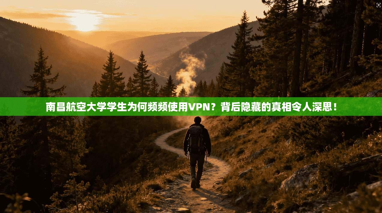 南昌航空大学学生为何频频使用VPN？背后隐藏的真相令人深思！