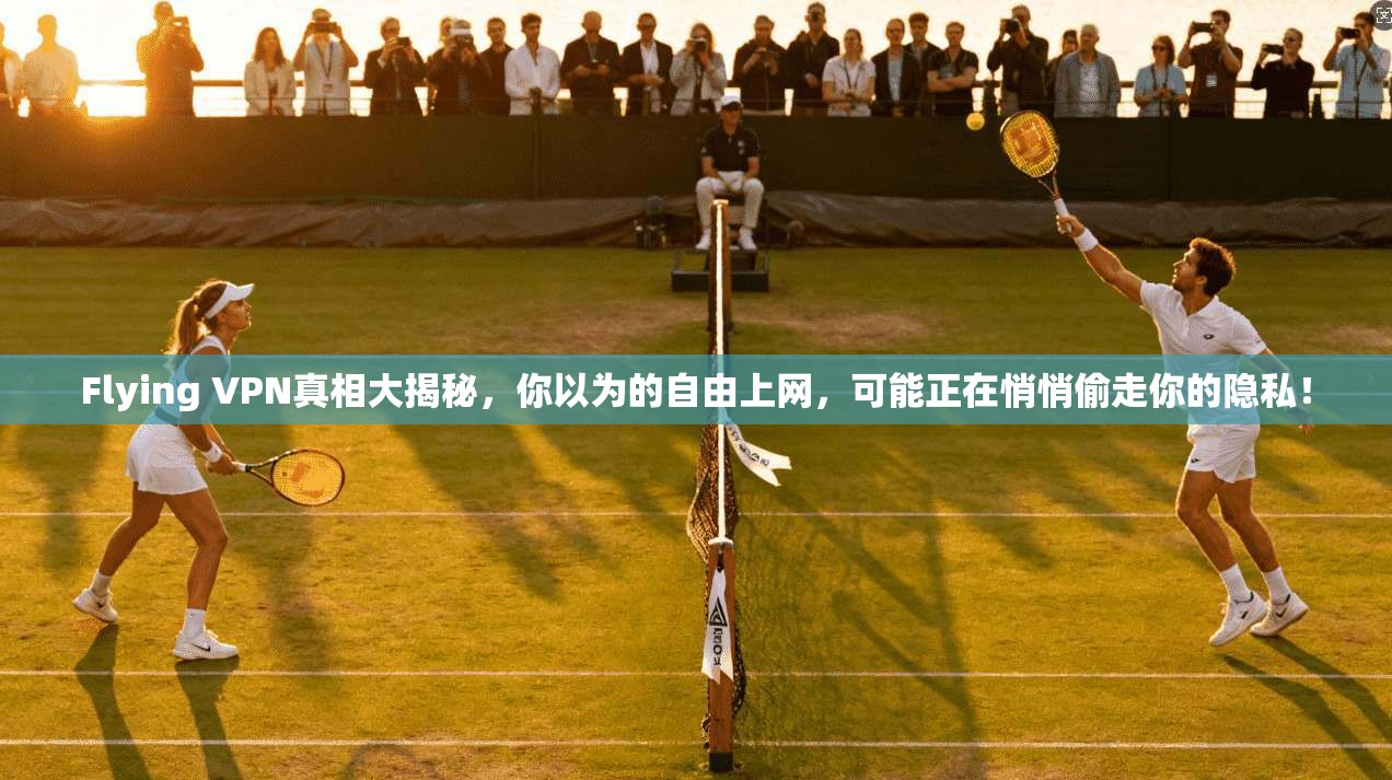 Flying VPN真相大揭秘，你以为的自由上网，可能正在悄悄偷走你的隐私！