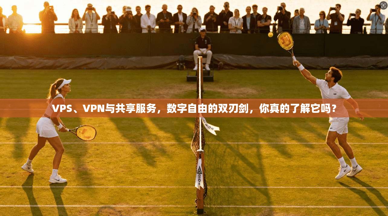 VPS、VPN与共享服务，数字自由的双刃剑，你真的了解它吗？