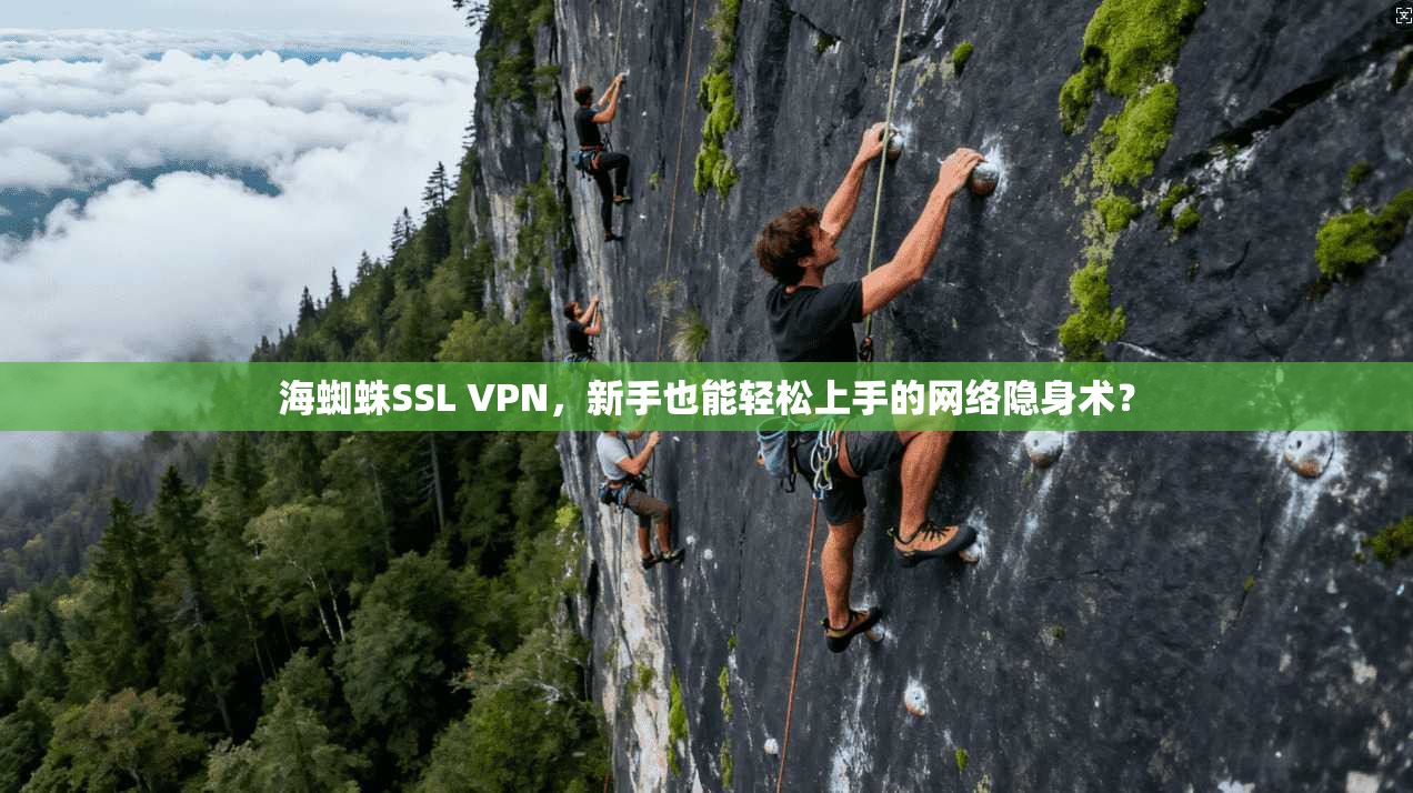海蜘蛛SSL VPN，新手也能轻松上手的网络隐身术？