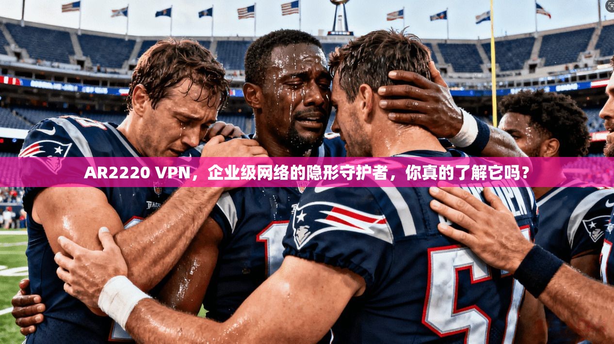 AR2220 VPN，企业级网络的隐形守护者，你真的了解它吗？