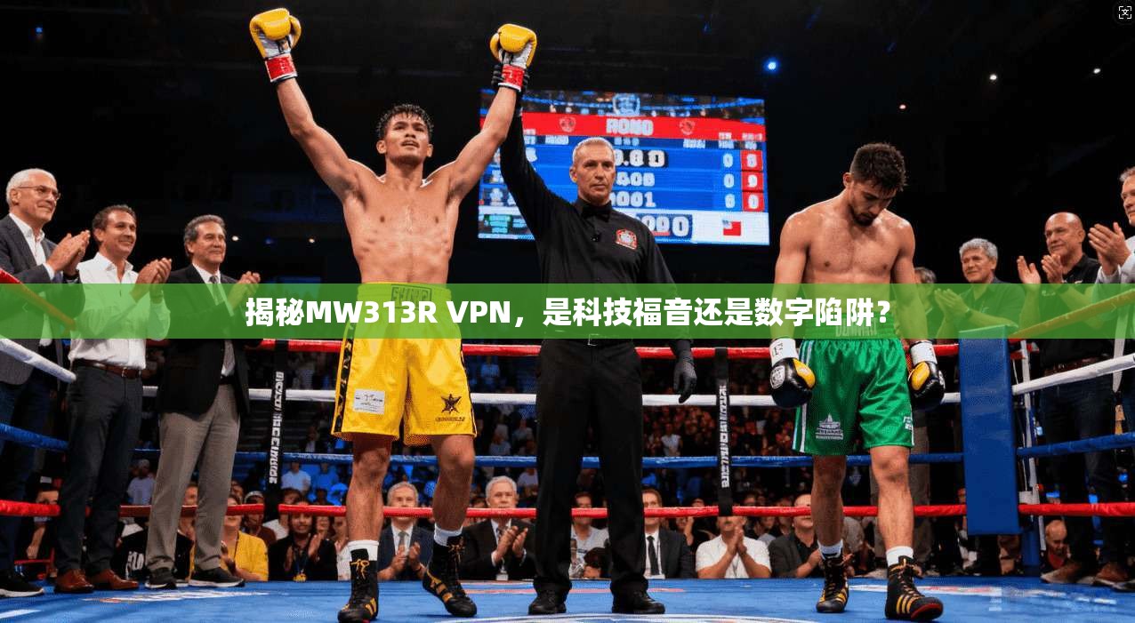 揭秘MW313R VPN，是科技福音还是数字陷阱？