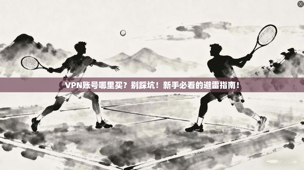 VPN账号哪里买？别踩坑！新手必看的避雷指南！