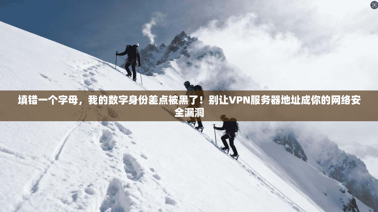 填错一个字母，我的数字身份差点被黑了！别让VPN服务器地址成你的网络安全漏洞