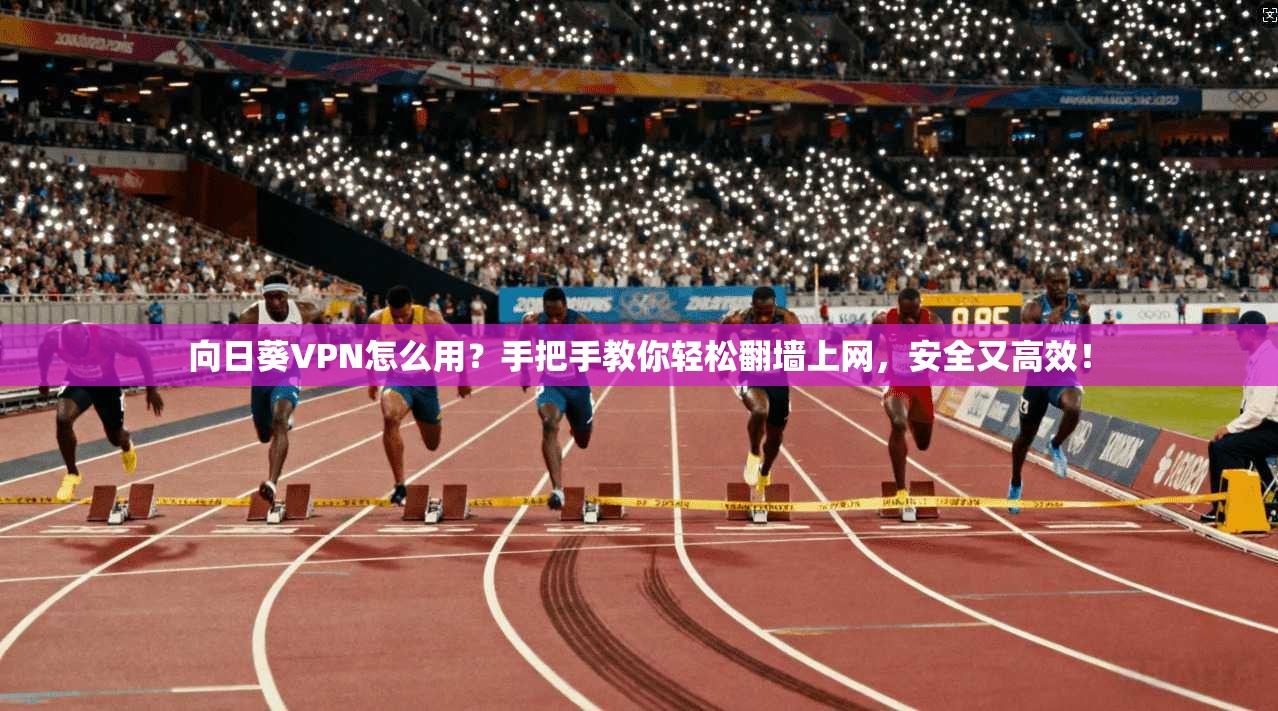 向日葵VPN怎么用?手把手教你轻松翻墙上网,安全又高效!