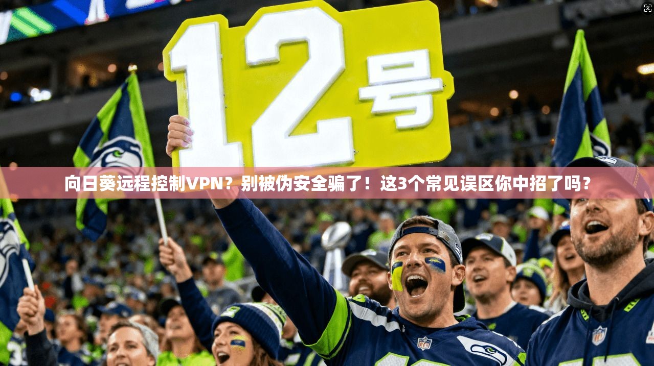 向日葵远程控制VPN？别被伪安全骗了！这3个常见误区你中招了吗？