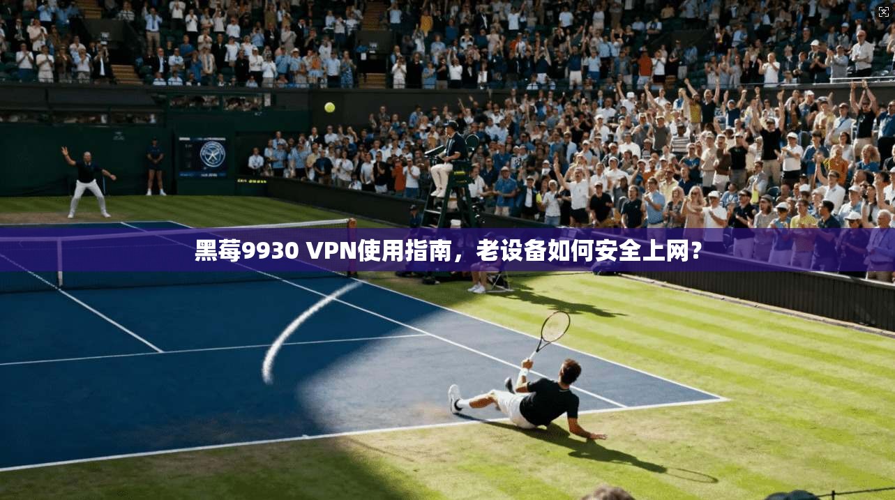 黑莓9930 VPN使用指南，老设备如何安全上网？