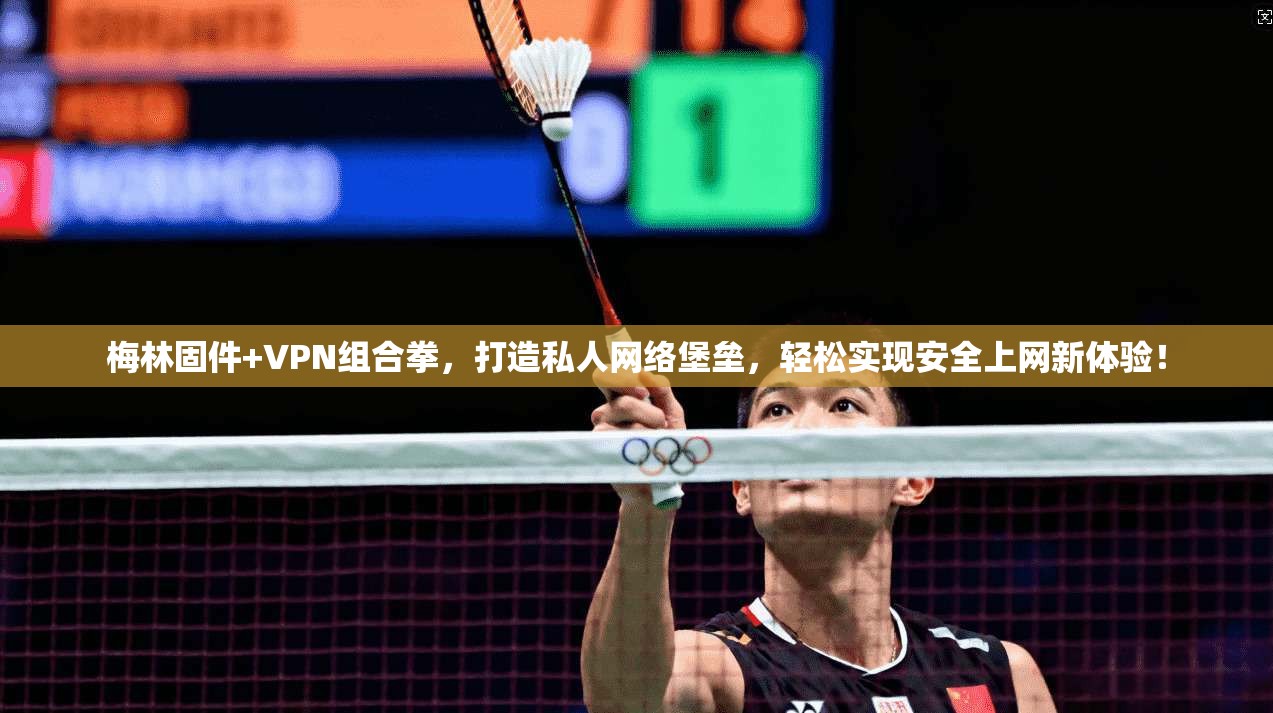 梅林固件+VPN组合拳，打造私人网络堡垒，轻松实现安全上网新体验！