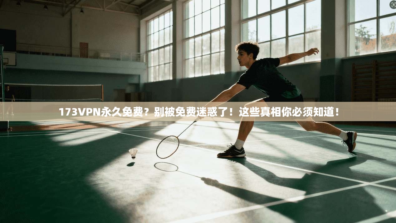 173VPN永久免费？别被免费迷惑了！这些真相你必须知道！