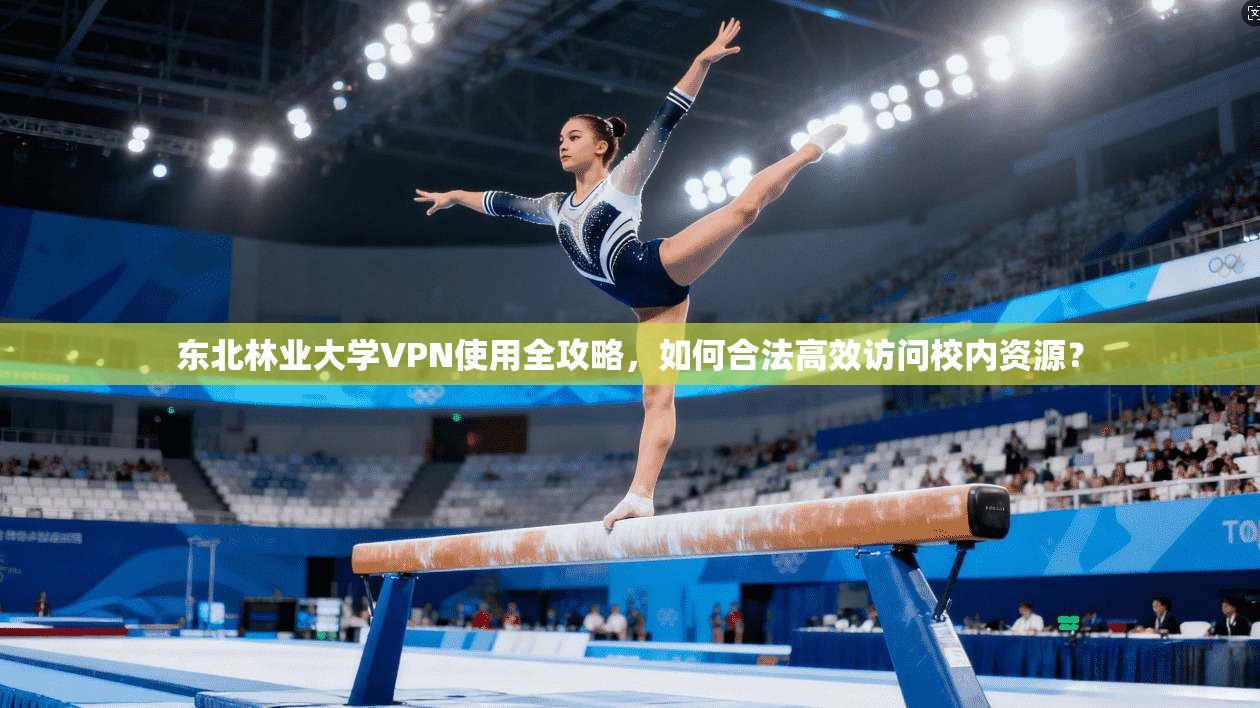 东北林业大学VPN使用全攻略，如何合法高效访问校内资源？