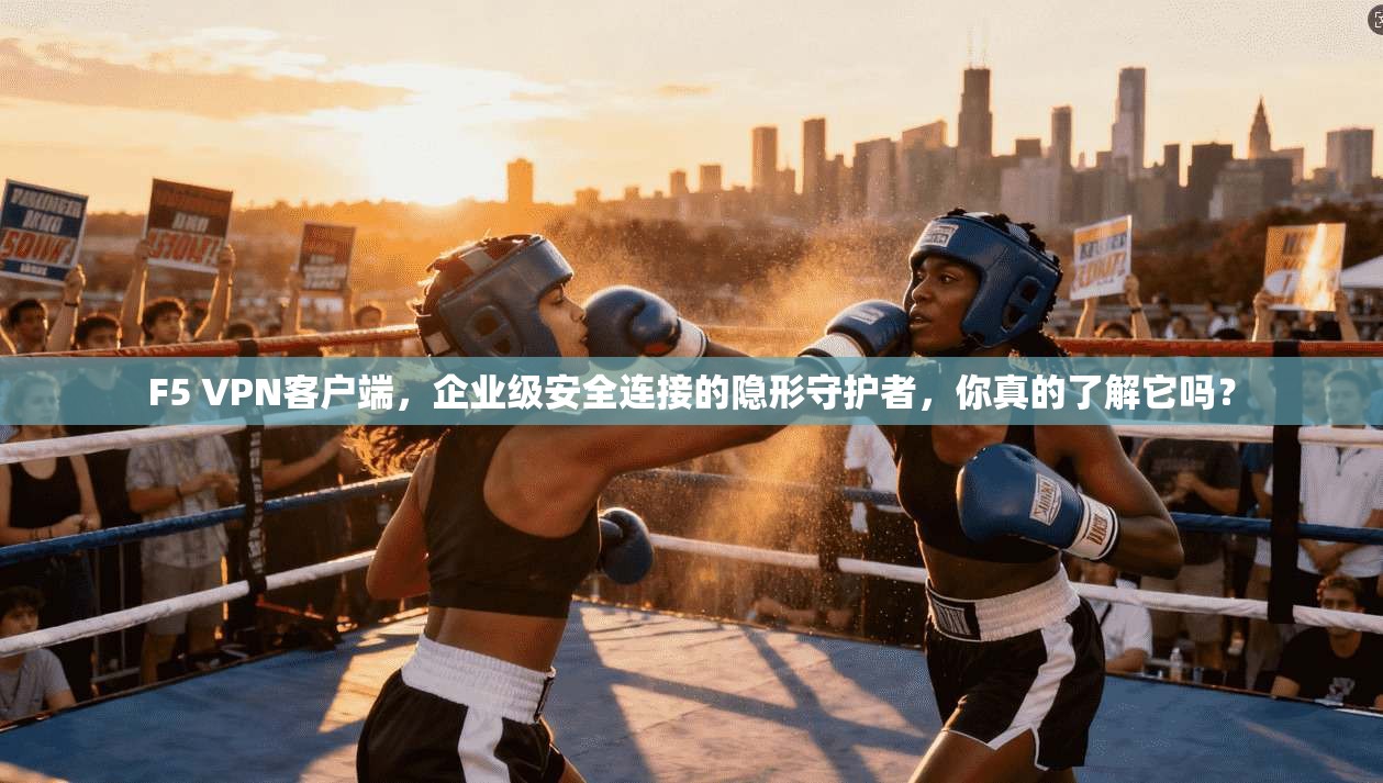 F5 VPN客户端，企业级安全连接的隐形守护者，你真的了解它吗？