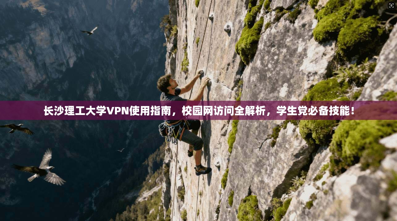 长沙理工大学VPN使用指南，校园网访问全解析，学生党必备技能！