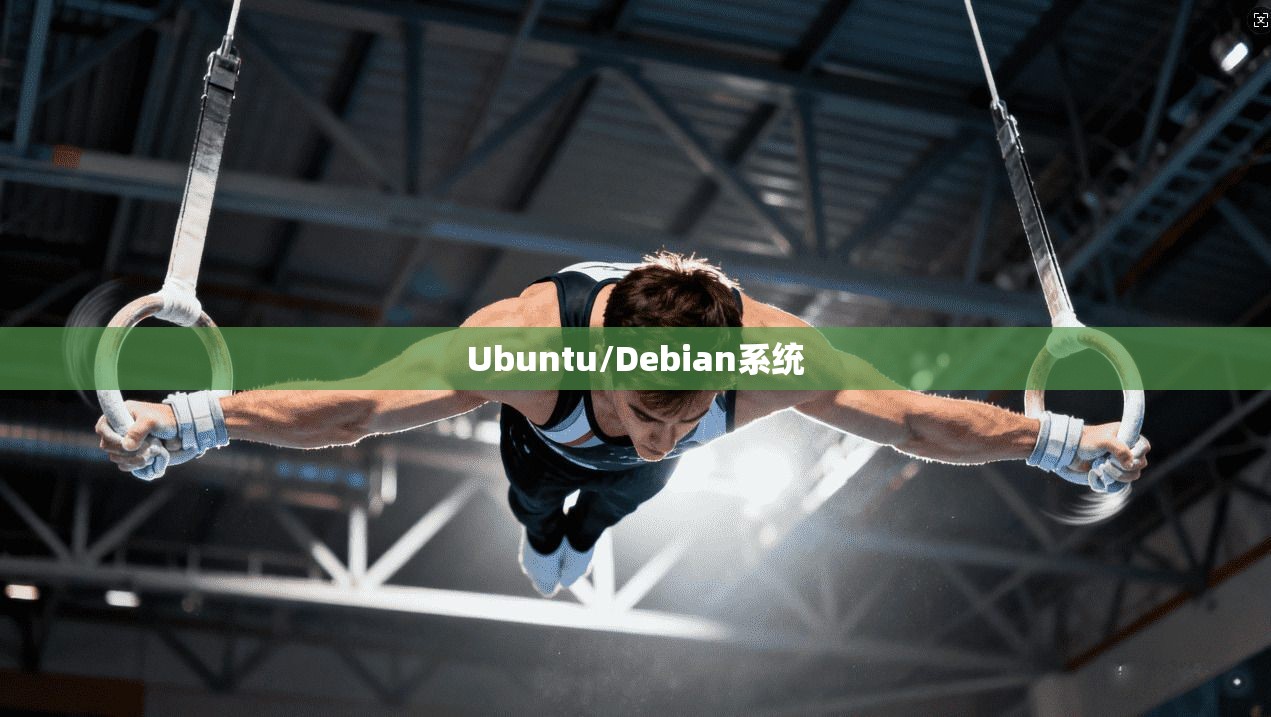 Ubuntu/Debian系统