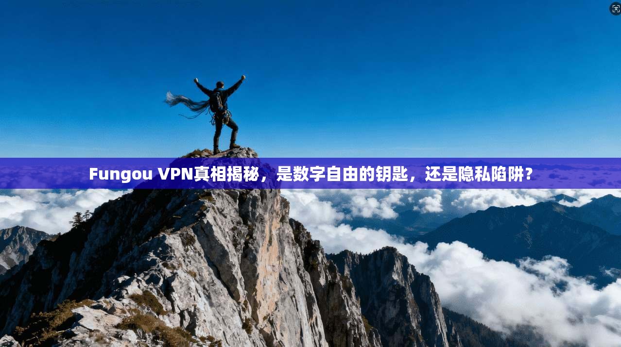 Fungou VPN真相揭秘，是数字自由的钥匙，还是隐私陷阱？