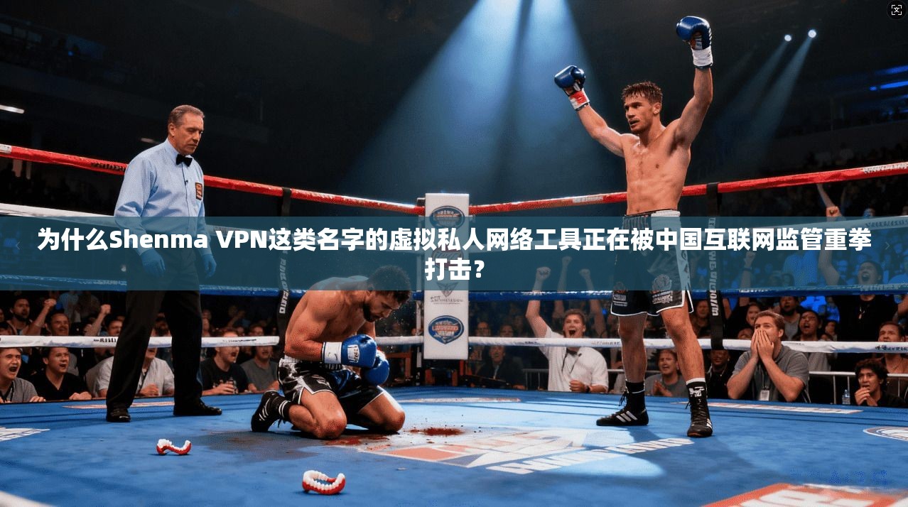 为什么Shenma VPN这类名字的虚拟私人网络工具正在被中国互联网监管重拳打击？