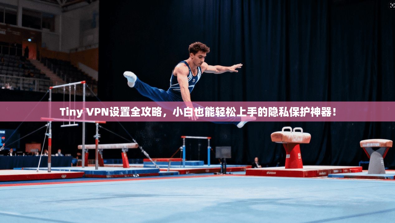 Tiny VPN设置全攻略，小白也能轻松上手的隐私保护神器！