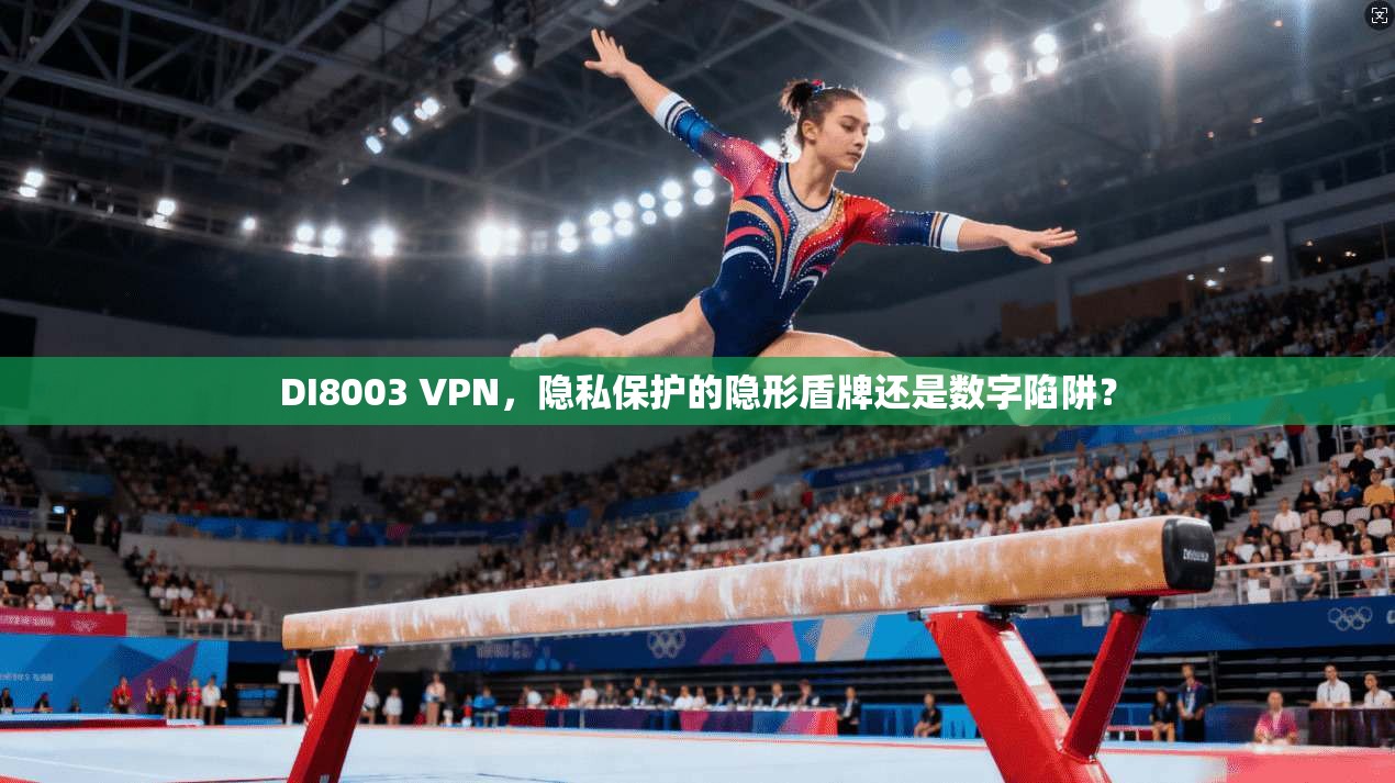 DI8003 VPN，隐私保护的隐形盾牌还是数字陷阱？