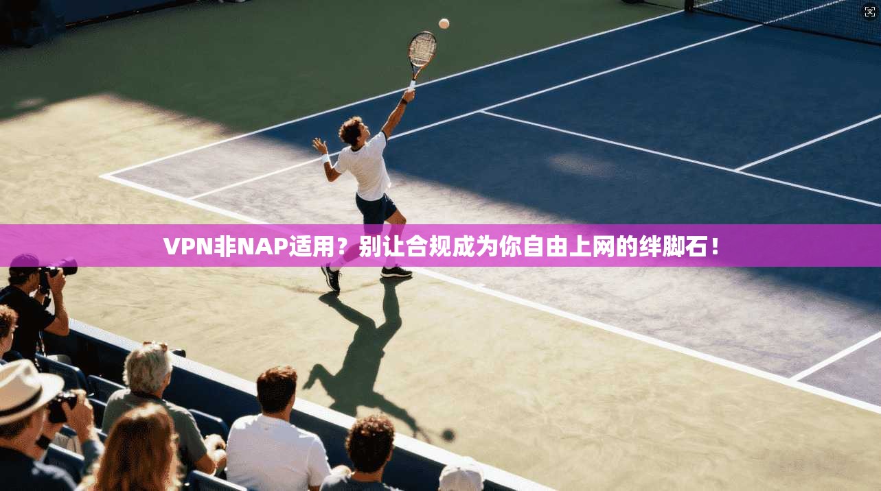 VPN非NAP适用？别让合规成为你自由上网的绊脚石！