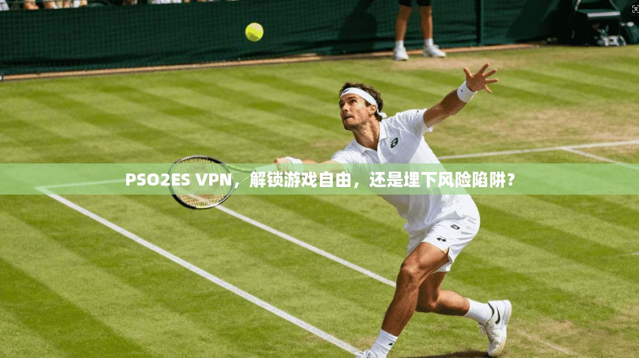 PSO2ES VPN，解锁游戏自由，还是埋下风险陷阱？