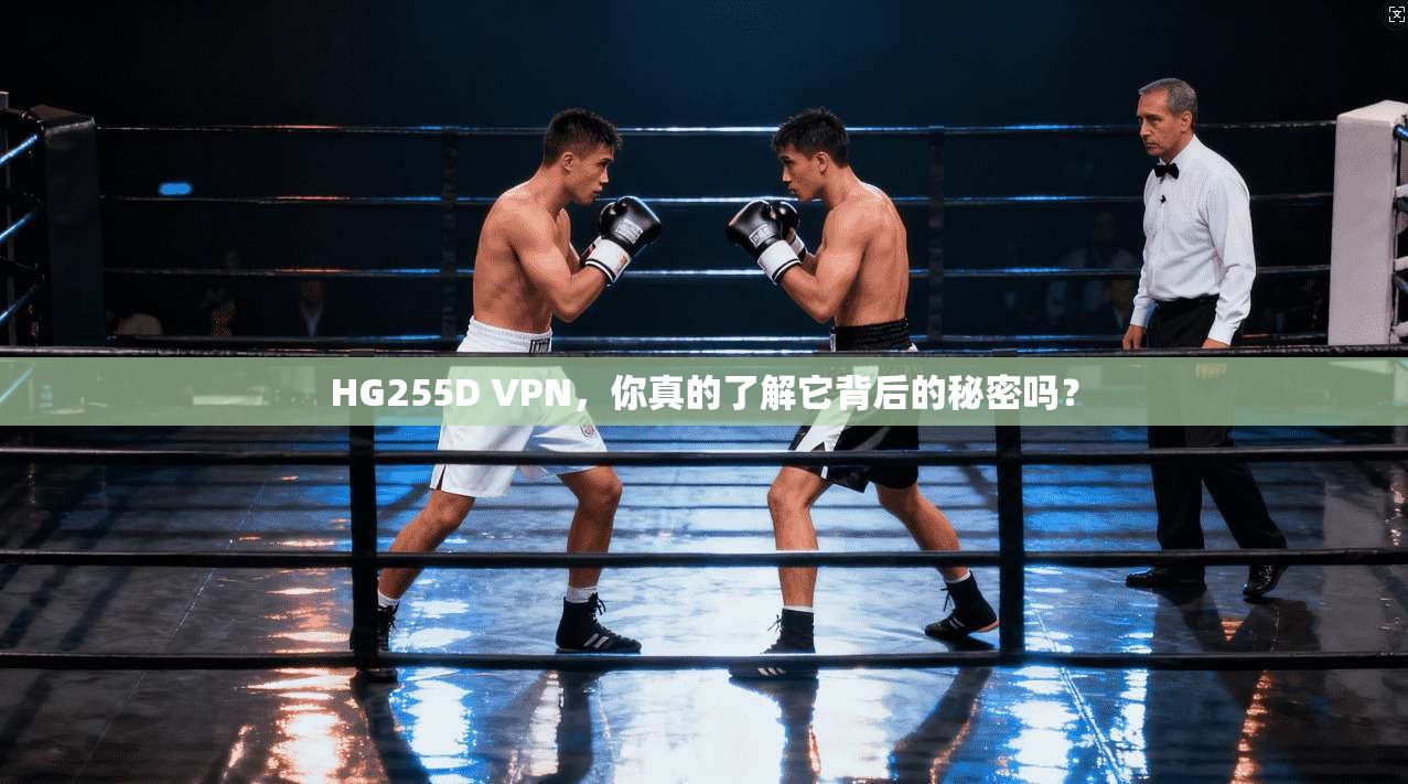 HG255D VPN，你真的了解它背后的秘密吗？