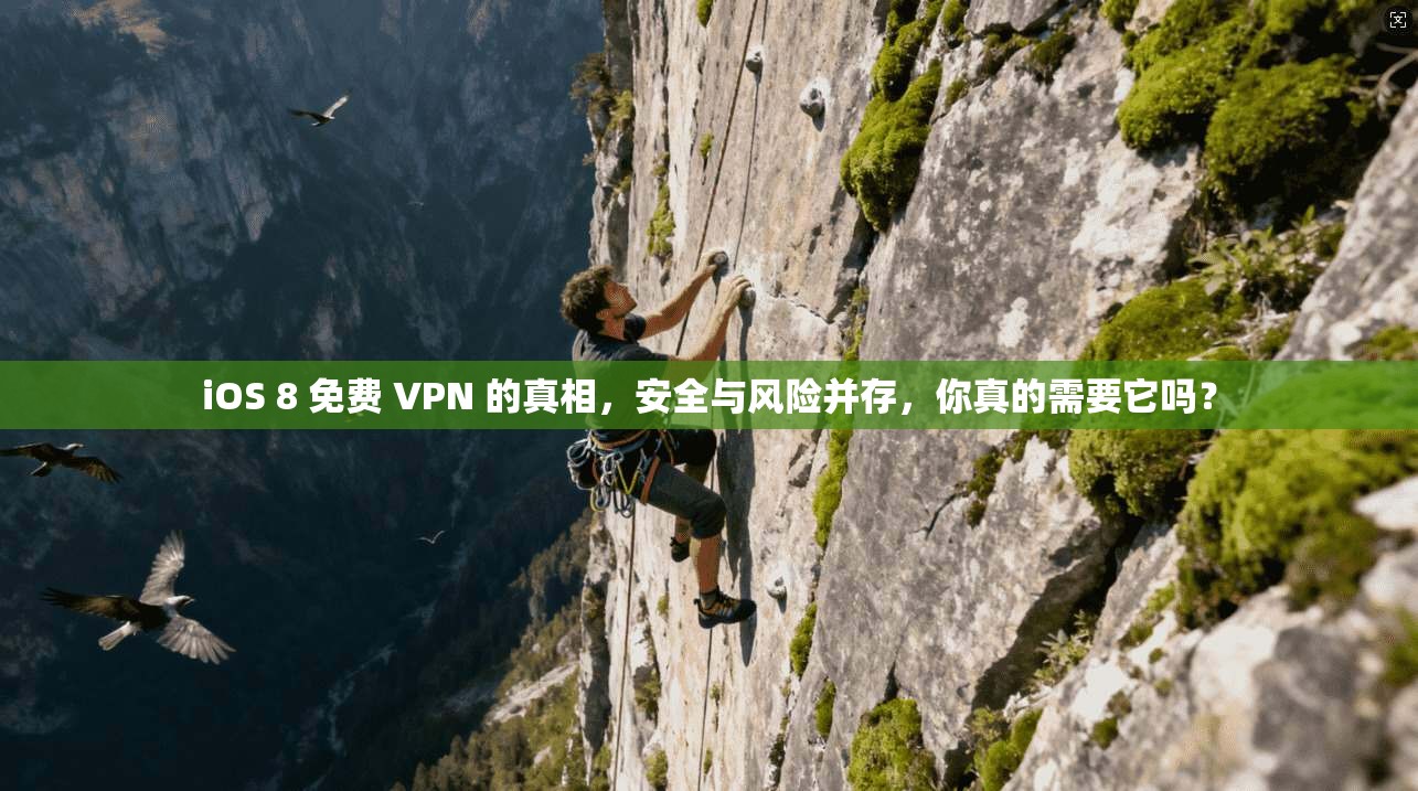 iOS 8 免费 VPN 的真相，安全与风险并存，你真的需要它吗？