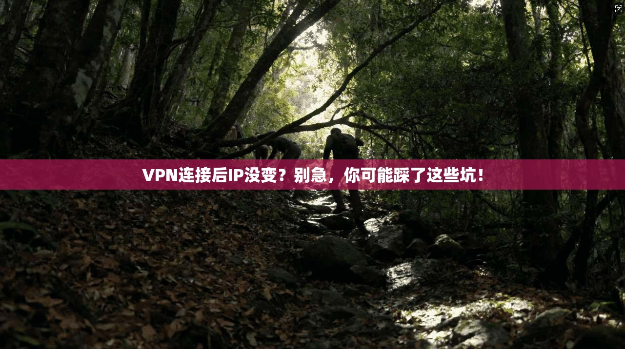 VPN连接后IP没变？别急，你可能踩了这些坑！