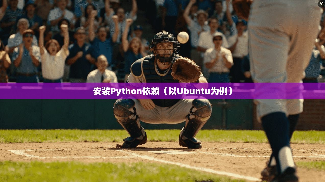 安装Python依赖（以Ubuntu为例）